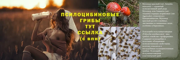 дурь Верея