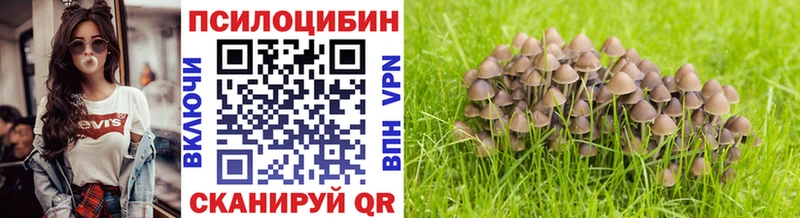 купить наркотик  Рубцовск  мега ссылка  Псилоцибиновые грибы ЛСД 